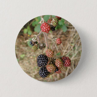botón Blackberry Bonanza