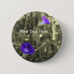 Botón blanco y negro de la flor de las correhuelas