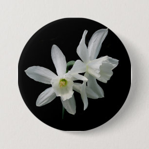 Botón blanco y negro del narciso del narciso del