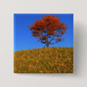 Botón Borrar el día de otoño