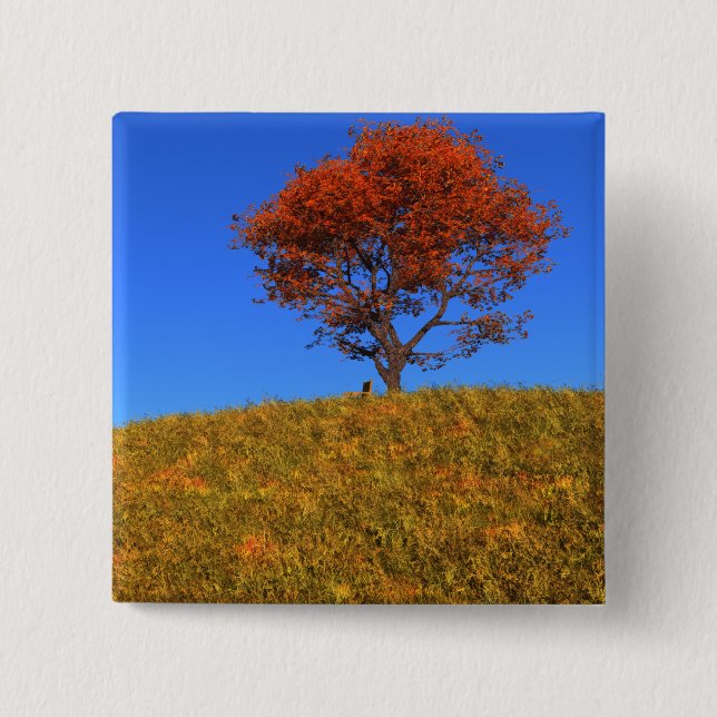 Botón Borrar el día de otoño (Anverso)