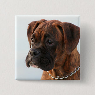 Botón Brindle del perrito del boxeador