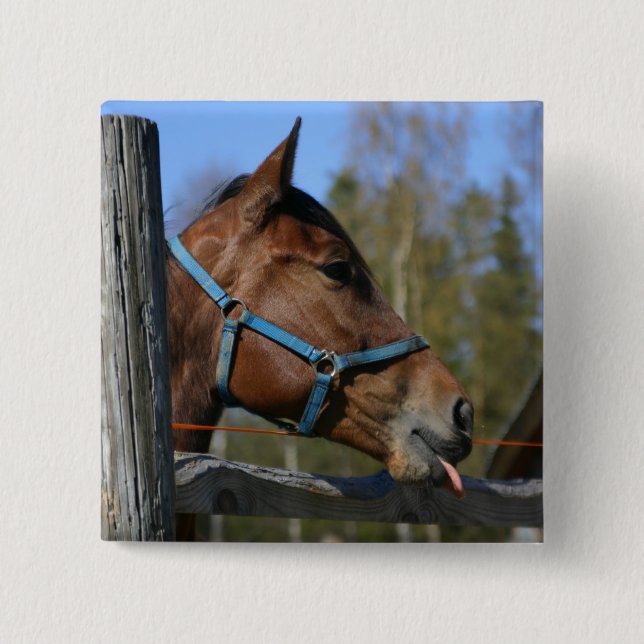 botón Caballo (Anverso)