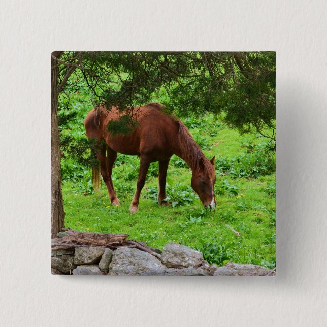 botón Caballo (Anverso)