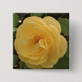 Botón Camellia Amarillo
