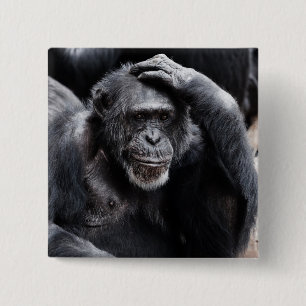Botón Chimpanzee antiguo