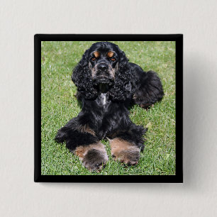 botón Cocker Spaniel