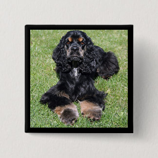 botón Cocker Spaniel