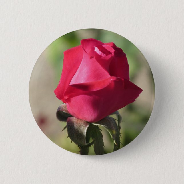 Botón color de rosa rosado (Anverso)
