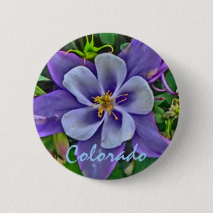 Botón columbine de Colorado