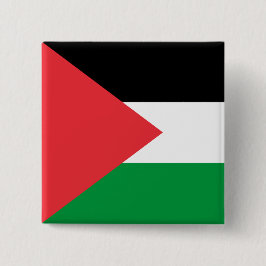Botón con bandera de Palestina