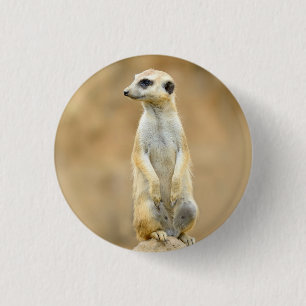 Botón con Meerkat en guardia