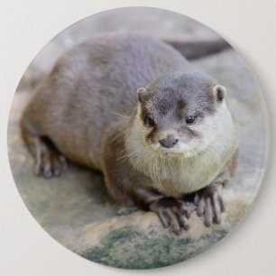 Botón con nutria de traqueteo pequeño