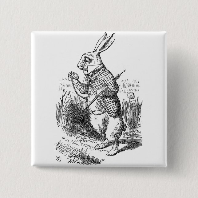 Botón Conejo (Anverso)