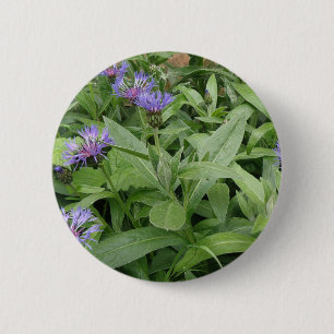 botón Cornflowers