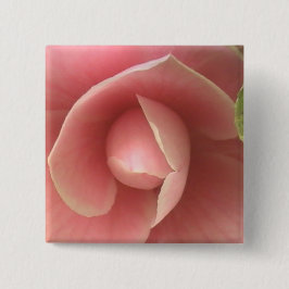Botón cuadrado de camellia rosa