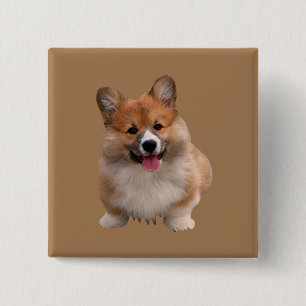 botón cuadrado de corgi galés de tan lindo