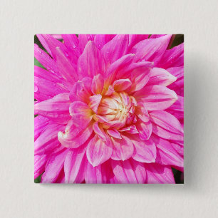 Botón cuadrado de la dalia