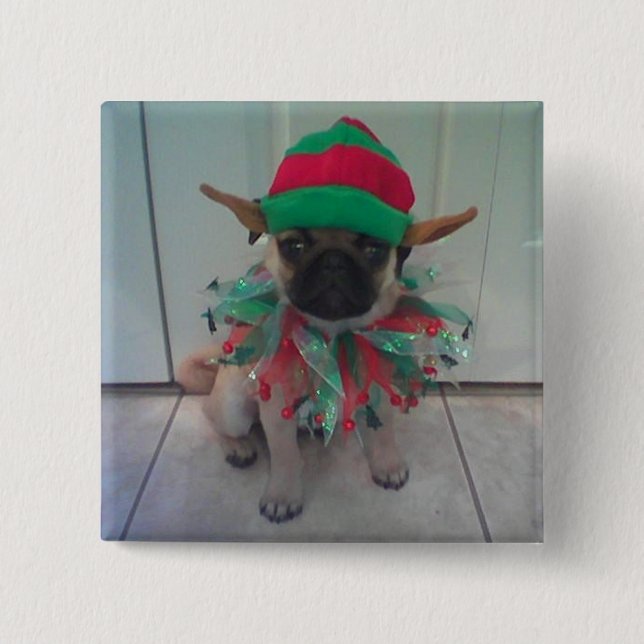 Botón cuadrado de Pug Elf, pin (Anverso)