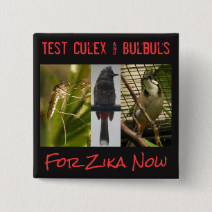 botón Culex & Bulbuls de prueba de RoseWrites
