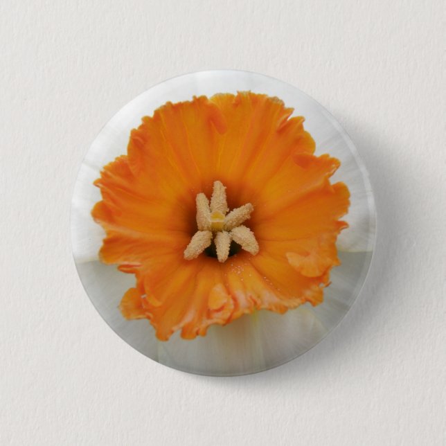 Botón Daffodil blanco (Anverso)