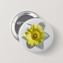 Botón Daffodil blanco