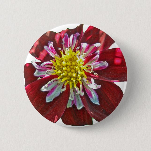 Botón Dahlia Rojo (Anverso)