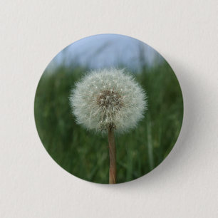 Botón Dandelion