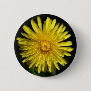 Botón Dandelion