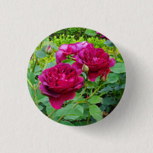 Botón Darcey Bussell Rosa #2