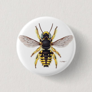 botón de abeja de carder de lana