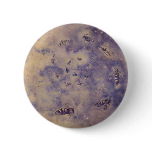 Botón de abejas espaciales