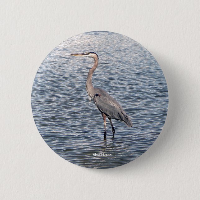 botón de agua de la garza azul (Anverso)