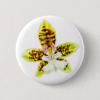 botón de arte fino de flor orquídea