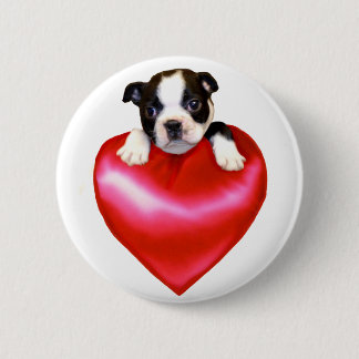 Botón de Boston Terrier del amor