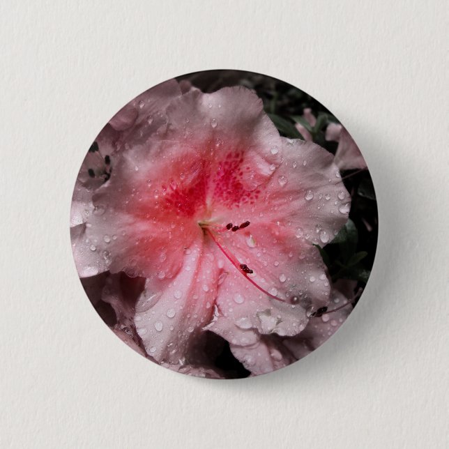 Botón de brillo interno (Anverso)