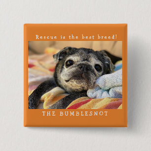 Botón de Bumblesnot: ¡El rescate es la mejor raz