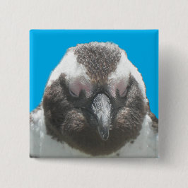 Botón de cara de pingüino sudafricano