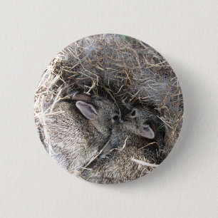 botón de conejitos para bebés salvajes