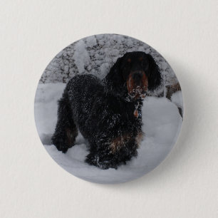 botón de copia de Gordon Setter