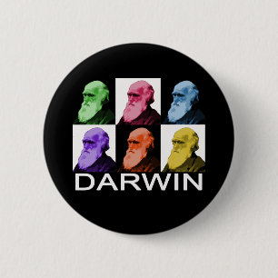 Botón de Darwin del arco iris