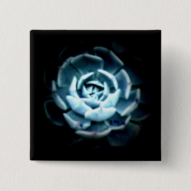 Botón de Echeveria 2 del planeta (Anverso)