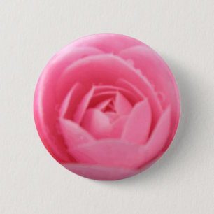 Botón de flor de camellia rosa bonito