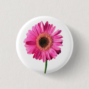 Botón de flor rosado Gerbera / Badge