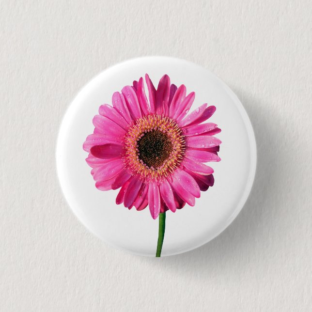 Botón de flor rosado Gerbera / Badge (Anverso)