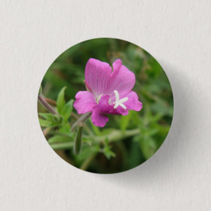 Botón de flor silvestre de Campion Roja