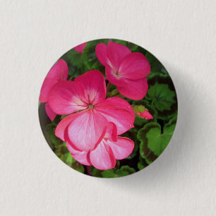 Botón de foto de geranio rosado de bonito