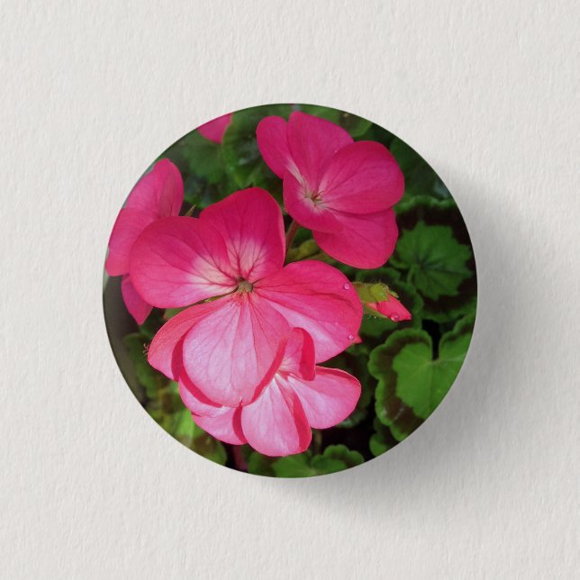 Botón de foto de geranio rosado de bonito (Anverso)