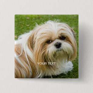 botón de foto personalizado