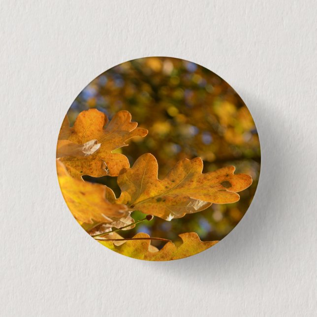 Botón de fugas de roble otoñal / Badge (Anverso)